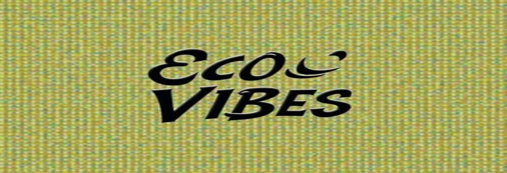 Rádio Web Eco Vibes